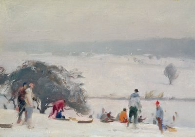Tobogganing, The Meads, Hertford by Trevor Chamberlain